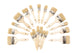 Bristle Chip Brushes
